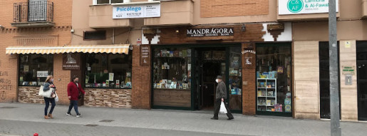 Mandrágora