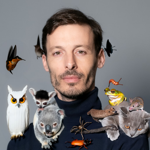 Pol Aregall Pérez