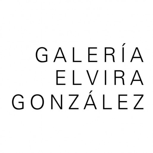 Galería Elvira González