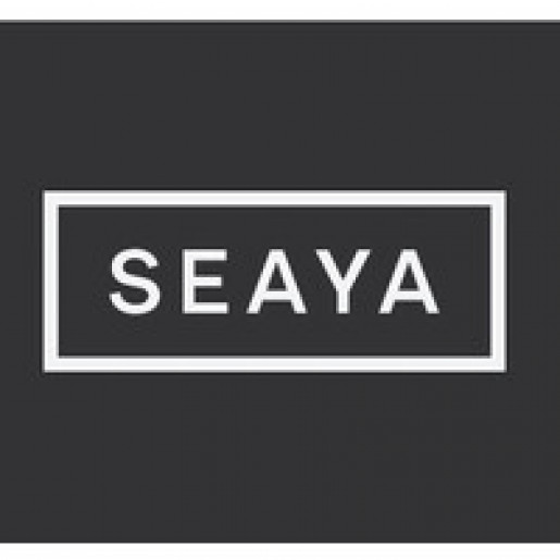 Seaya Ventures