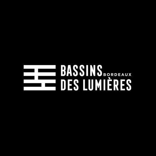 Les Bassins des Lumières
