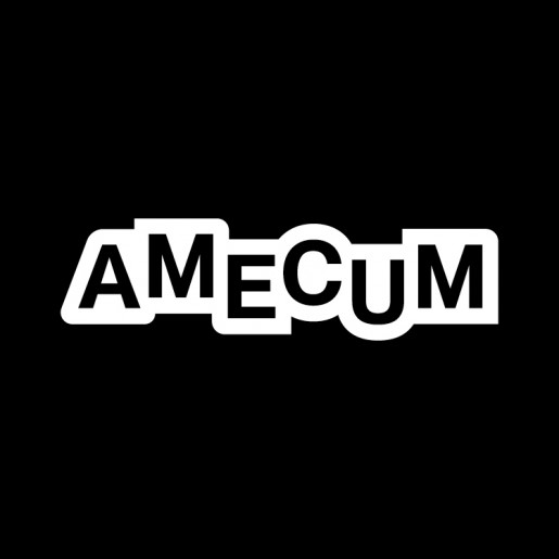 Asociación de Mediadoras Culturales de Madrid - AMECUM
