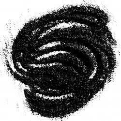 Calatea
