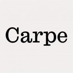 Carpe Studio