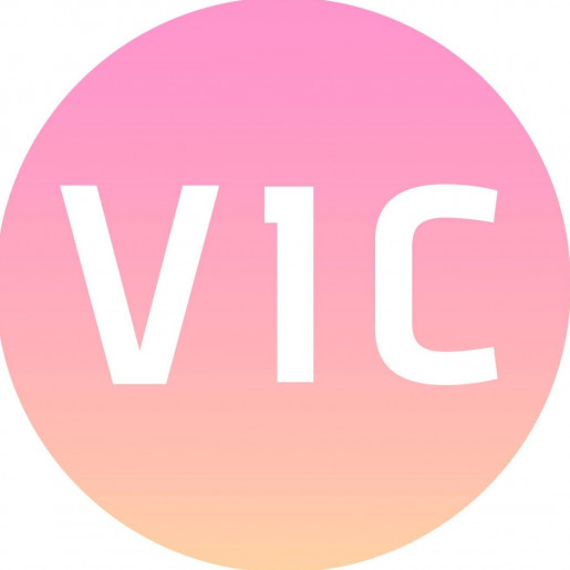 AC Vivero de Iniciativas Ciudadanas - VIC