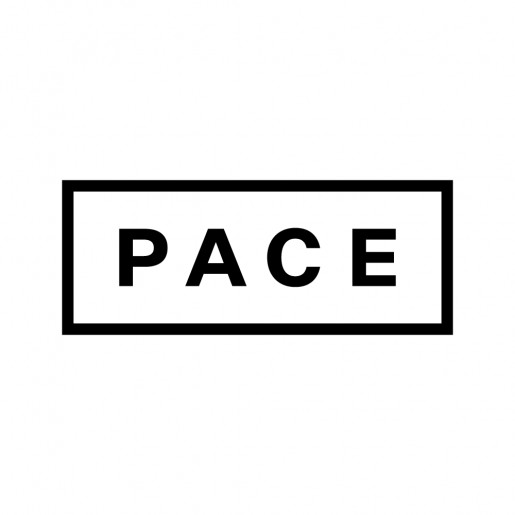 Pace Gallery - Seoul