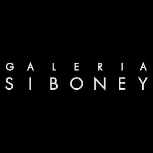Galería Siboney