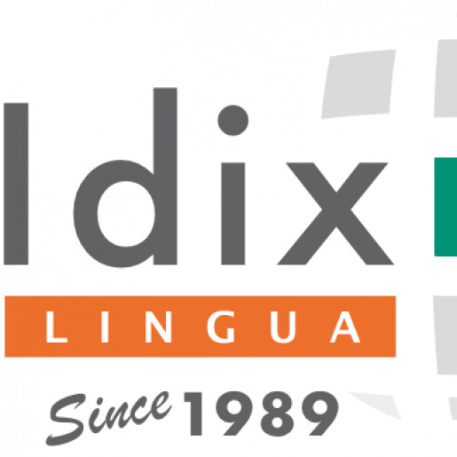 Servicios y Consultoría IDIX