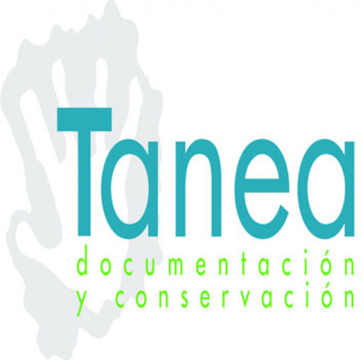 Tanea Arqueología