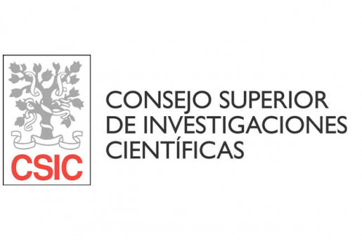 Consejo Superior de Investigaciones Científicas - CSIC