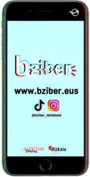 Bziber