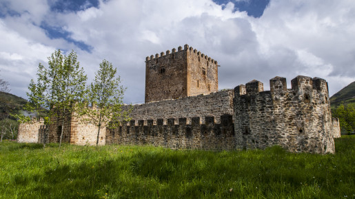 CASTILLO DE MUÑATONES