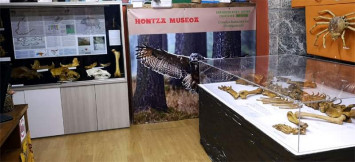 Kontrako hartzaren erakusketa