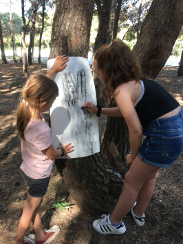 La piel del árbol. V Semana de Arte en Montjüic. Barcelona.