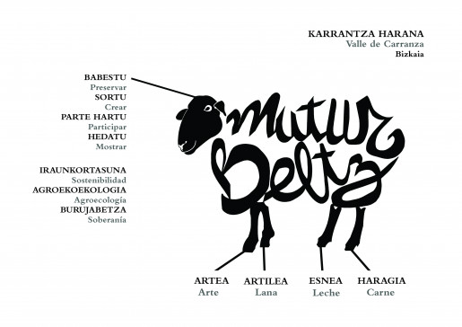 Mutur Beltz