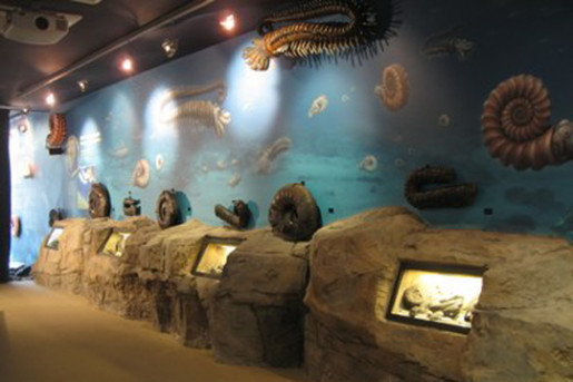 Nautilus. Centro de Interpretación Geológica de Mutriku