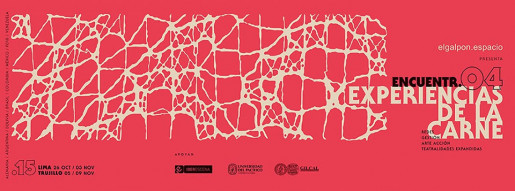 CUERPOS, DIVERSIDADES Y CIUDADANÍAS.
ENCUENTR.05 DE ARTE ACCIÓN ¨EXPERIENCIAS DE LA CARNE¨ .