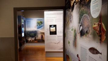Exposiciones