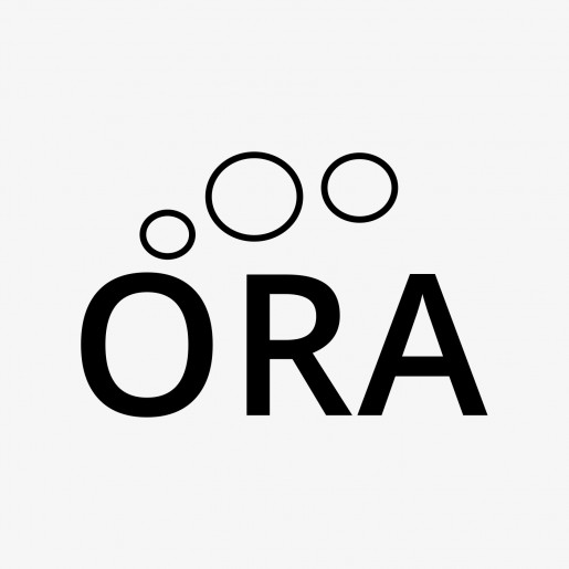 Orquesta Reino de Aragón